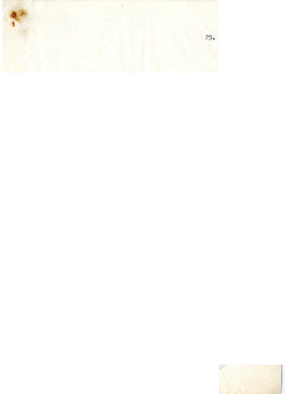 Page 25