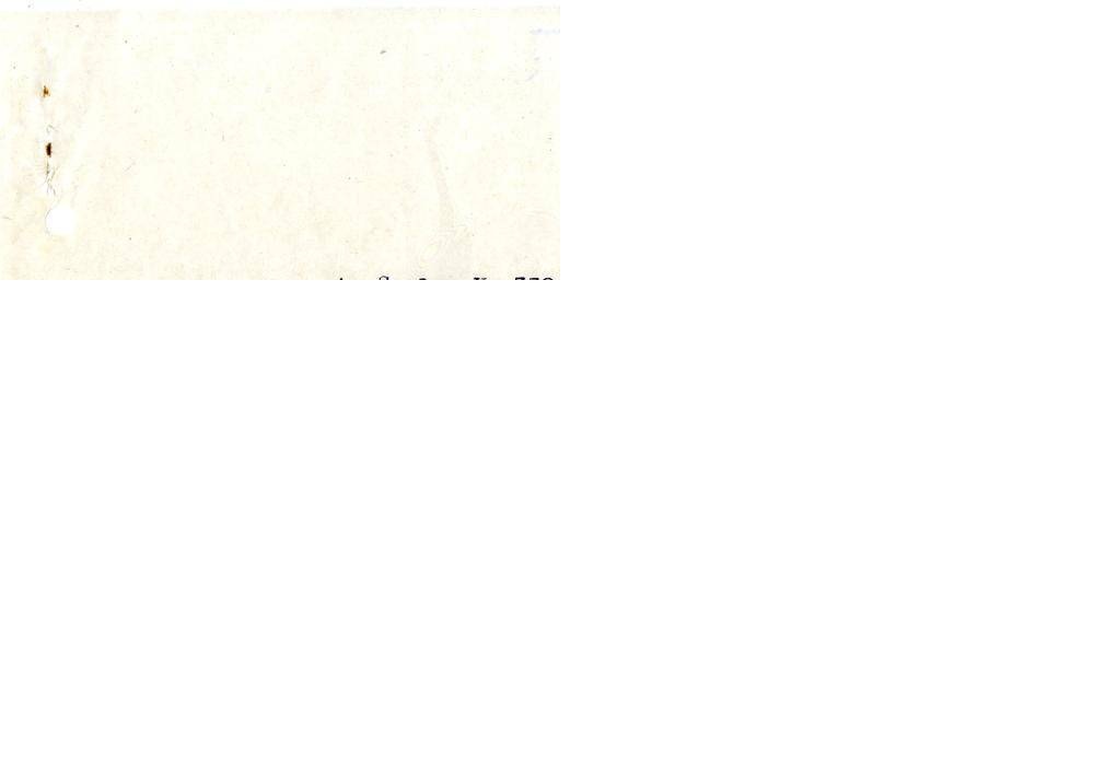 Page 296